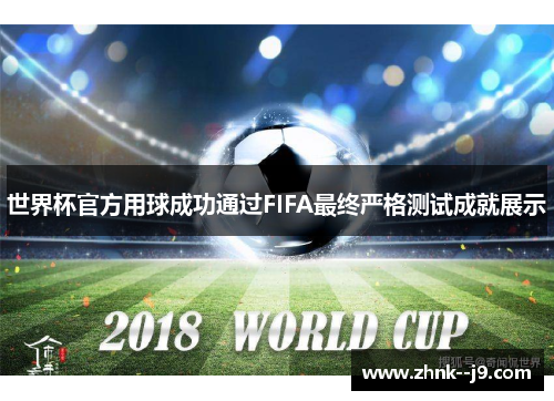 世界杯官方用球成功通过FIFA最终严格测试成就展示